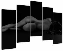 Mivali Tablou - Femeia întinsă nud, din cinci bucăți 125x90 cm (V022896V12590)