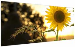 Mivali Tablou cu floarea soarelui, dintr-o bucată 200x100 cm (V020543V200100)