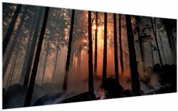 Mivali Tablou cu pădure întunecată, dintr-o bucată 200x100 cm (V020379V200100)