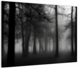 Mivali Tablou pe sticlă - Pădure în ceață, dintr-o bucată 70x50 cm pe sticlă (V023566V7050GD)