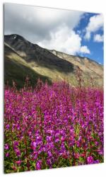 Mivali Tablou sceneriei cu lunca montană, dintr-o bucată 50x70 cm (V021604V5070)
