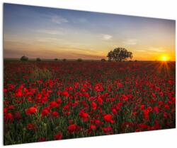 Mivali Tablou cu lunca și macii, dintr-o bucată 120x80 cm (V020551V12080)