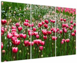 Mivali Tablou - Lalele, din trei bucăți 120x80 cm (V022557V120803PCS)