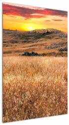 Mivali Tablou cu câmp, dintr-o bucată 60x90 cm (V020837V6090)