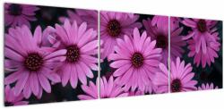 Mivali Tablou cu florile roz, din trei bucăți 150x50 cm (V020923V15050)
