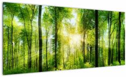 Mivali Tablou - Răsărit în pădure, dintr-o bucată 100x40 cm (V022345V10040)