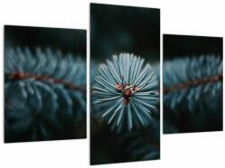Mivali Tablou -Crenguțe ale unui conifer, din trei bucăți 90x60 cm (V022700V90603PCS)