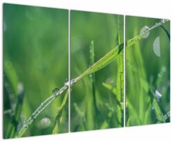 Mivali Tablou cu picături de rouă, din trei bucăți 120x80 cm (V020008V120803PCS)