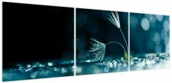 Mivali Tablou - Macro, din trei bucăți 150x50 cm (V023731V15050)