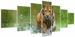 Mivali Tablou - Tigru care aleargă, din șapte bucăți 210x100 cm (V023886V210100)