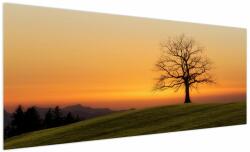 Mivali Tablou cu apus de soare pe o luncă, dintr-o bucată 250x125 cm (V020919V250125)