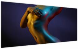 Mivali Tablou - Nud feminin, dintr-o bucată 200x100 cm (V023845V200100)
