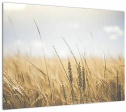 Mivali Tablou cu grâne, dintr-o bucată 70x50 cm (V021378V7050)