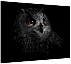 Mivali Tablou pe sticlă - Bufniță, ilustrație (V023618V7050GD)