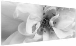 Mivali Tablou - Floare, alb-negru, dintr-o bucată 250x125 cm (V024111V250125)