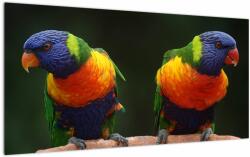 Mivali Tablou pe sticlă cu papagali, dintr-o bucată 100x50 cm pe sticlă (V020865V10050GD)