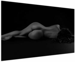 Mivali Tablou - Femeia întinsă nud, dintr-o bucată 150x100 cm (V022896V150100)