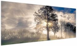 Mivali Tablou cu copac în ceață, dintr-o bucată 250x125 cm (V020378V250125)