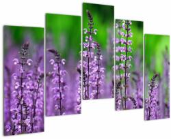 Mivali Tablou cu flori de luncă violete, din cinci bucăți 125x90 cm (V020193V12590)