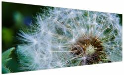 Mivali Tabloul cu păpădie desflorit, dintr-o bucată 250x125 cm (V020006V250125)