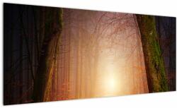 Mivali Tablou cu pădurea toamna în ceață, dintr-o bucată 100x40 cm (V020013V10040)