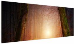Mivali Tablou cu pădurea toamna în ceață, dintr-o bucată 145x58 cm (V020013V14558)