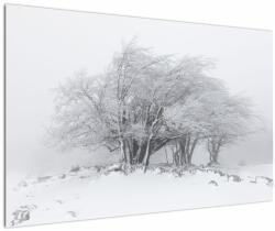 Mivali Tablou - Iarnă albă, dintr-o bucată 120x80 cm (V022824V12080)