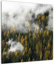 Mivali Tablou - Pădure în nori, dintr-o bucată 50x50 cm (V022666V5050)