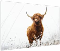 Mivali Tablou - Vacă scoțiană, dintr-o bucată 120x80 cm (V023936V12080)