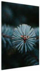 Mivali Tablou -Crenguțe ale unui conifer, dintr-o bucată 60x90 cm (V022700V6090)