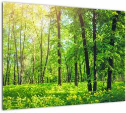 Mivali Tablou - Pădurea cu frunze de primăvară, dintr-o bucată 70x50 cm (V022101V7050)