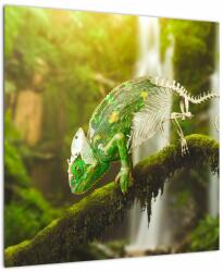 Mivali Tablou - cameleon, dintr-o bucată 50x50 cm (V020277V5050)