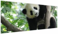 Mivali Tablou - Panda in copac, dintr-o bucată 145x58 cm (V023757V14558)