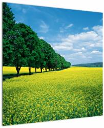 Mivali Tablou - Câmp cu alei, dintr-o bucată 70x70 cm (V023225V7070)