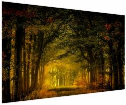 Mivali Tablou cu pădure, dintr-o bucată 150x100 cm (V021219V150100)