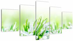 Mivali Tablou - Ghiocei, din cinci bucăți 150x80 cm (V022399V150805PCS)