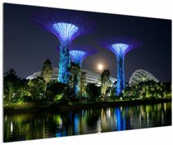 Mivali Tablou cu lună plină în grădinile din Singapur, dintr-o bucată 120x80 cm (V021710V12080)