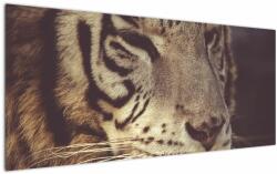 Mivali Tablou cu tigrul, dintr-o bucată 120x50 cm (V021200V12050)
