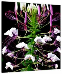 Mivali Tablou pe sticlă cu floare, dintr-o bucată 40x40 cm pe sticlă (V021256V4040GD)