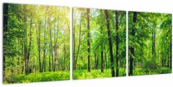 Mivali Tablou - Pădurea cu frunze de primăvară, din trei bucăți 90x30 cm (V022101V9030)