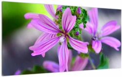 Mivali Tablou pe sticlă cu floarea detailat, dintr-o bucată 100x50 cm pe sticlă (V020300V10050GD)
