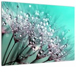 Mivali Tablou pe sticlă - planta cu rouă, dintr-o bucată 70x50 cm pe sticlă (V020507V7050GD)