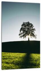 Mivali Tablou cu natura - copac, dintr-o bucată 20x30 cm (V020162V2030)