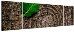 Mivali Tablou cu frunză pe trunchi de copac, din trei bucăți 170x50 cm (V020813V17050)