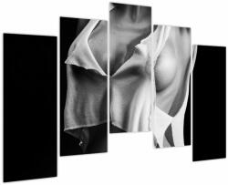Mivali Tablou - Nud feminin, din cinci bucăți 125x90 cm (V024029V12590)