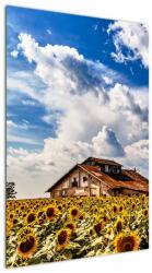 Mivali Tablou cu câmp de floarea soarelui, dintr-o bucată 60x90 cm (V020405V6090)