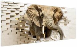 Mivali Tablou - Elefant spârgând peretele, dintr-o bucată 250x125 cm (V022794V250125)