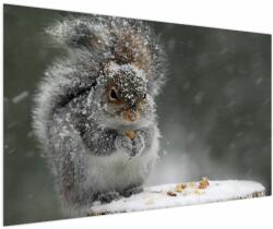 Mivali Tablou - Veveriță iarna, dintr-o bucată 150x100 cm (V023818V150100)