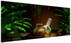 Mivali Tablou cu obiectele spa, dintr-o bucată 250x125 cm (V020950V250125)