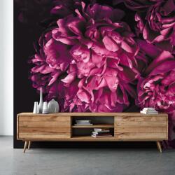 Mivali Fototapet - Flori, vlies, 490x340 cm (T100956TQ10)